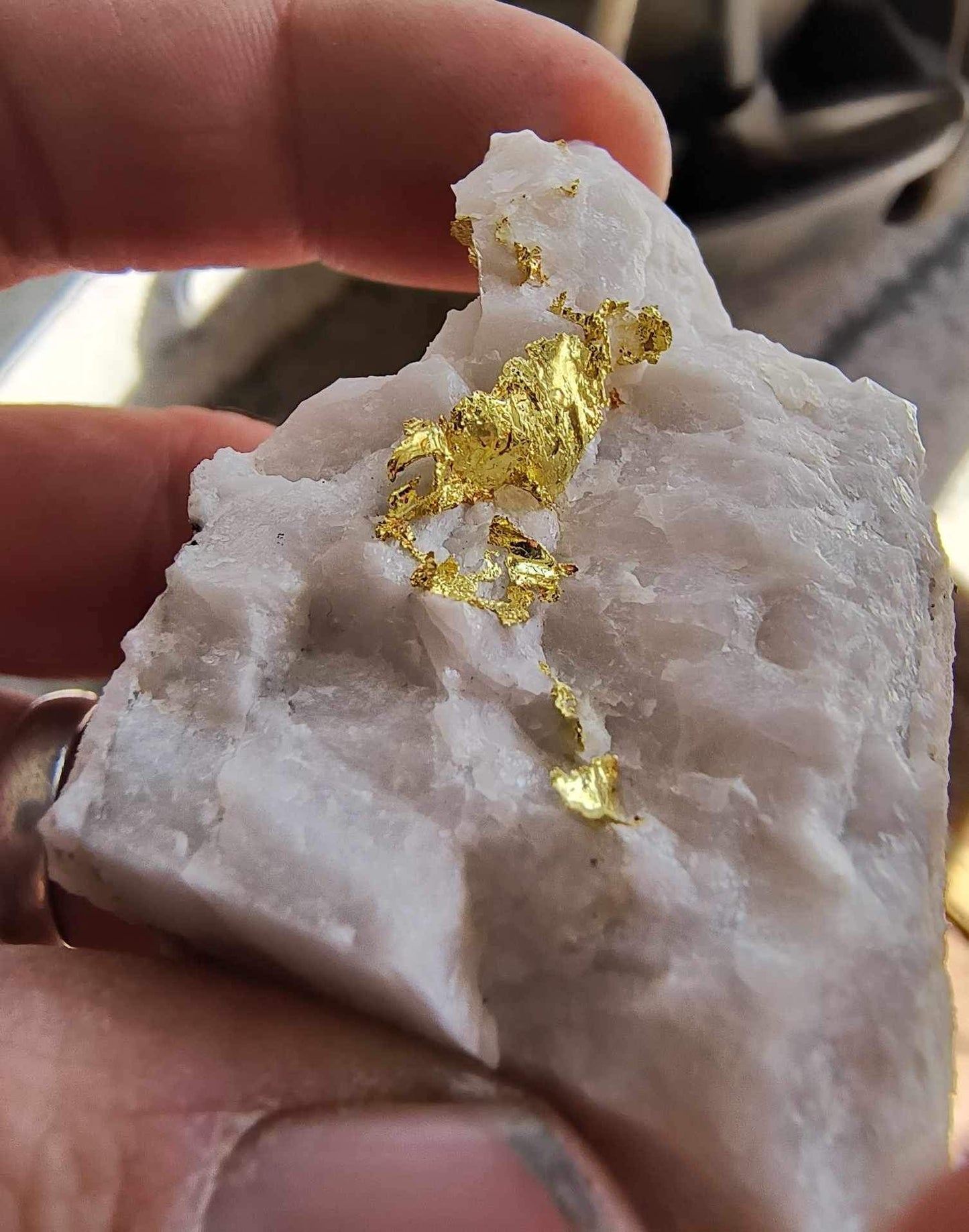 Rich Gold in Milky Bull Quartz- Large gold specimen