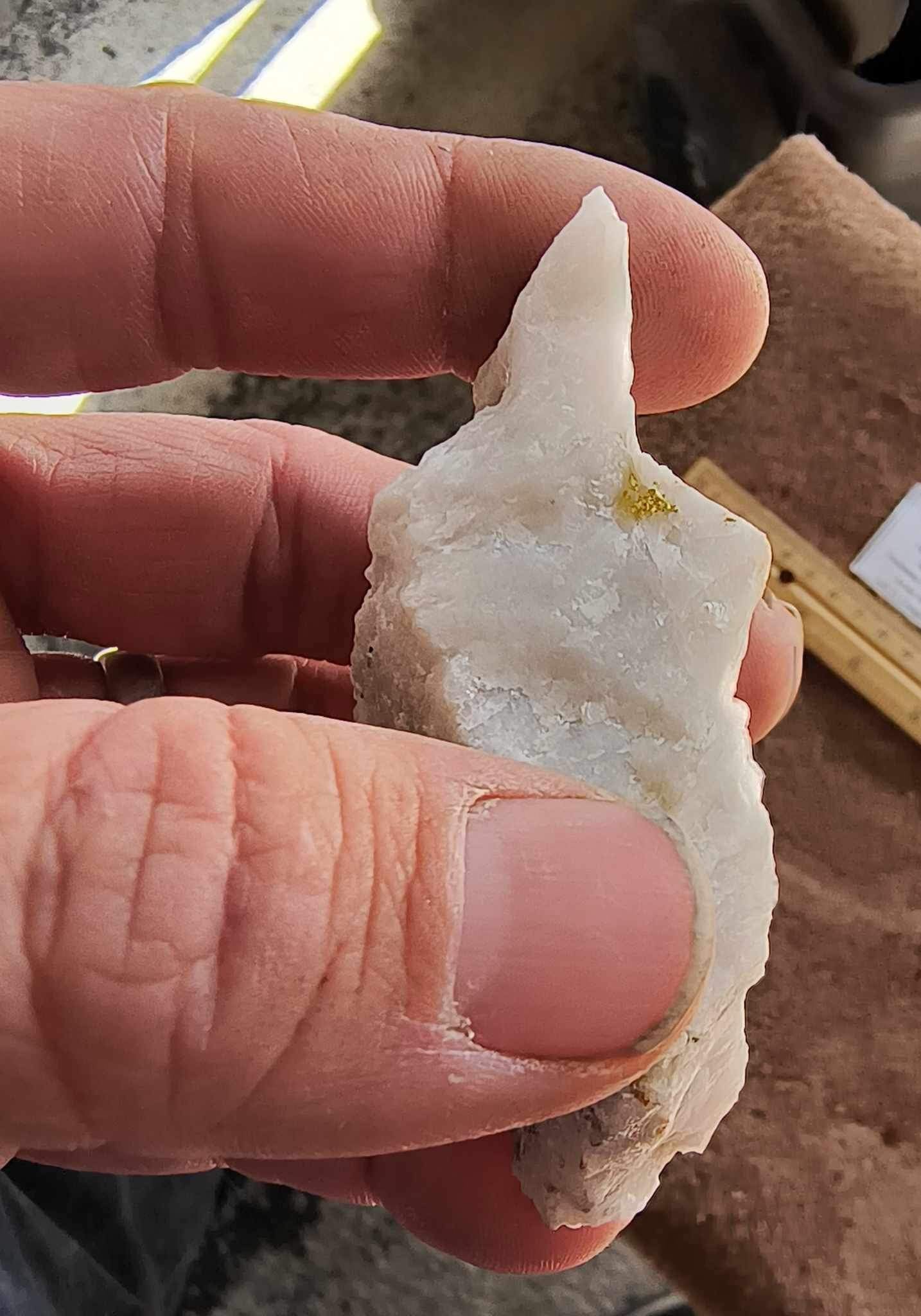 Rich Gold in Milky Bull Quartz- Large gold specimen