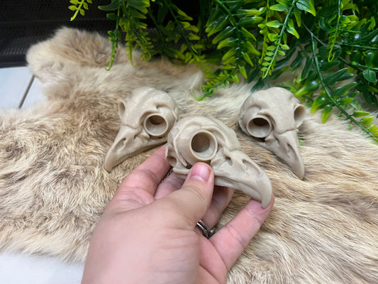 Barred Owl Skull (3D Print Replica)