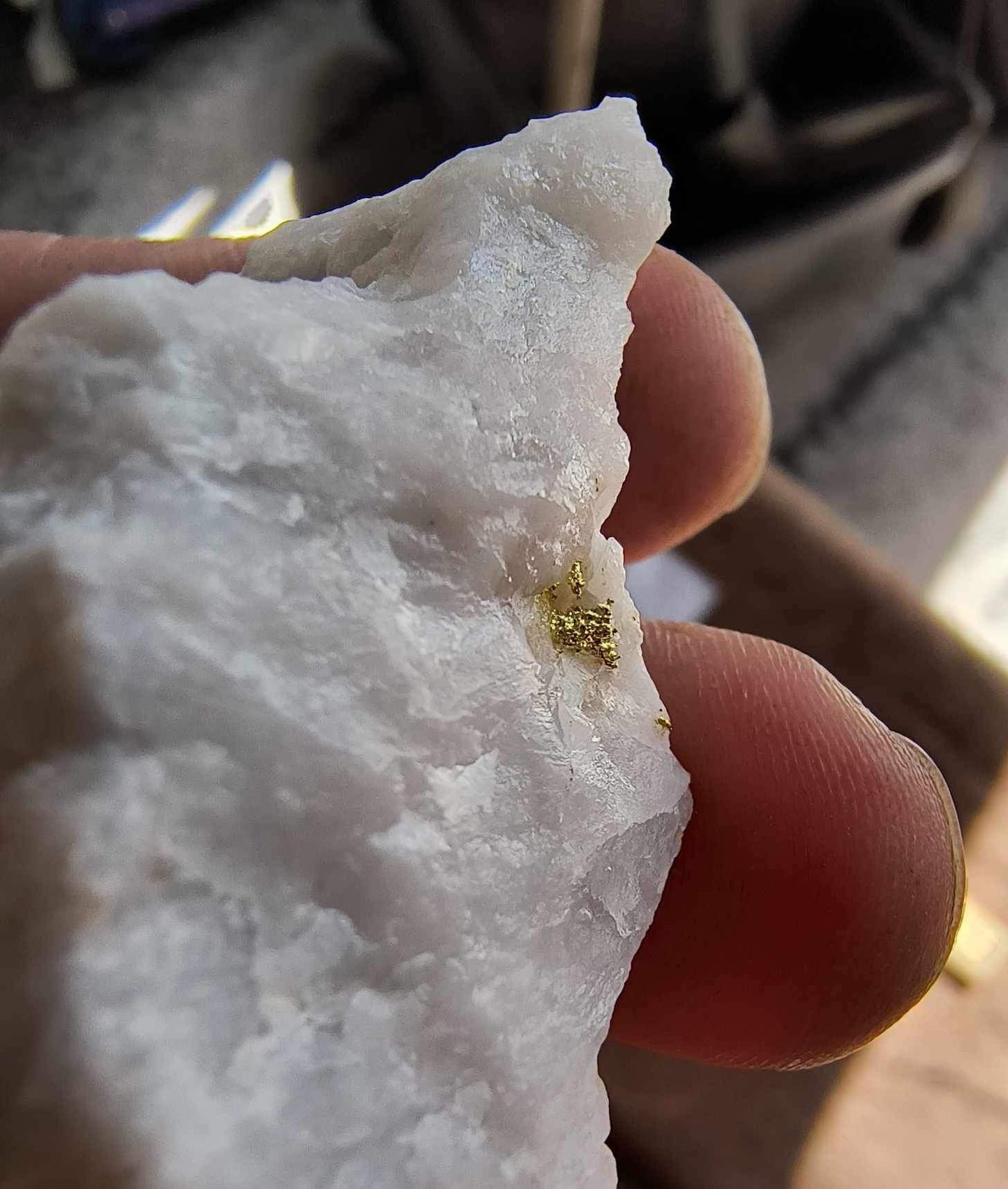 Rich Gold in Milky Bull Quartz- Large gold specimen