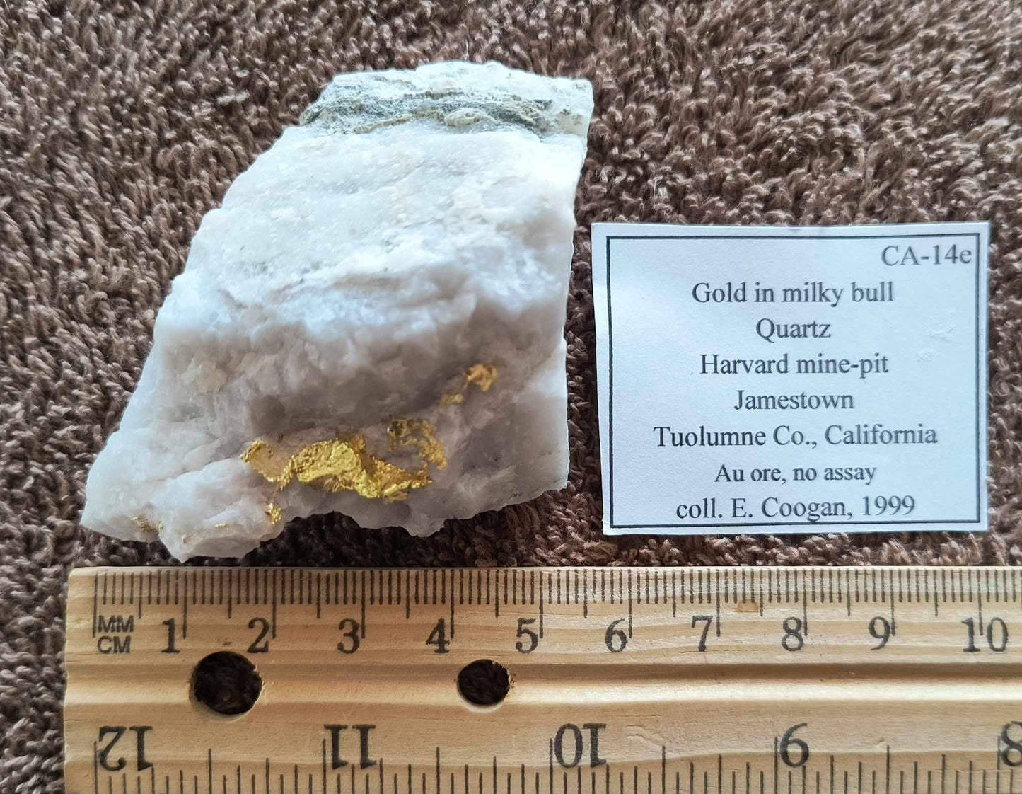 Rich Gold in Milky Bull Quartz- Large gold specimen