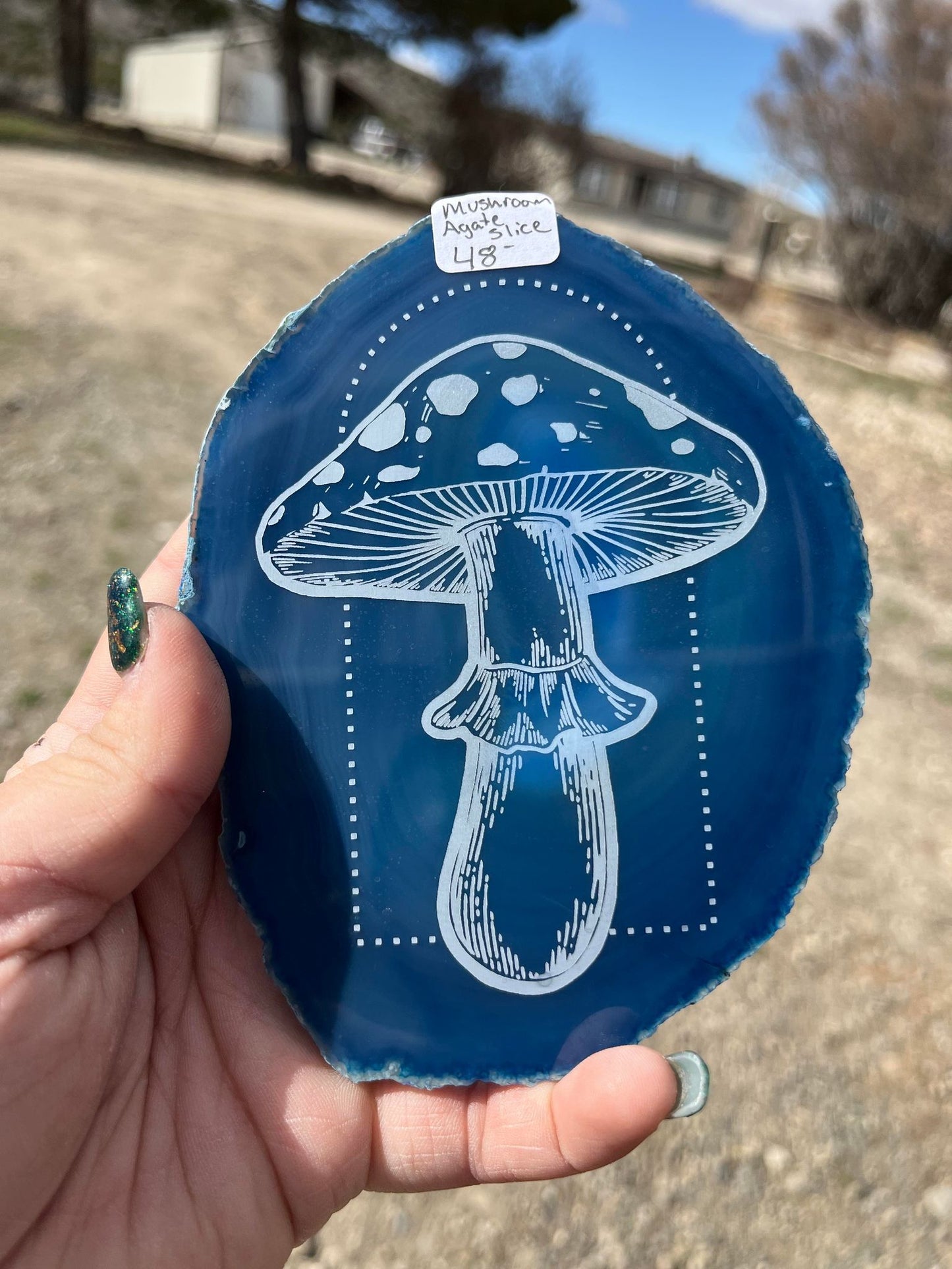 Mushroom Agate Slice